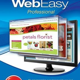 Avanquest Webeasy Professional 10